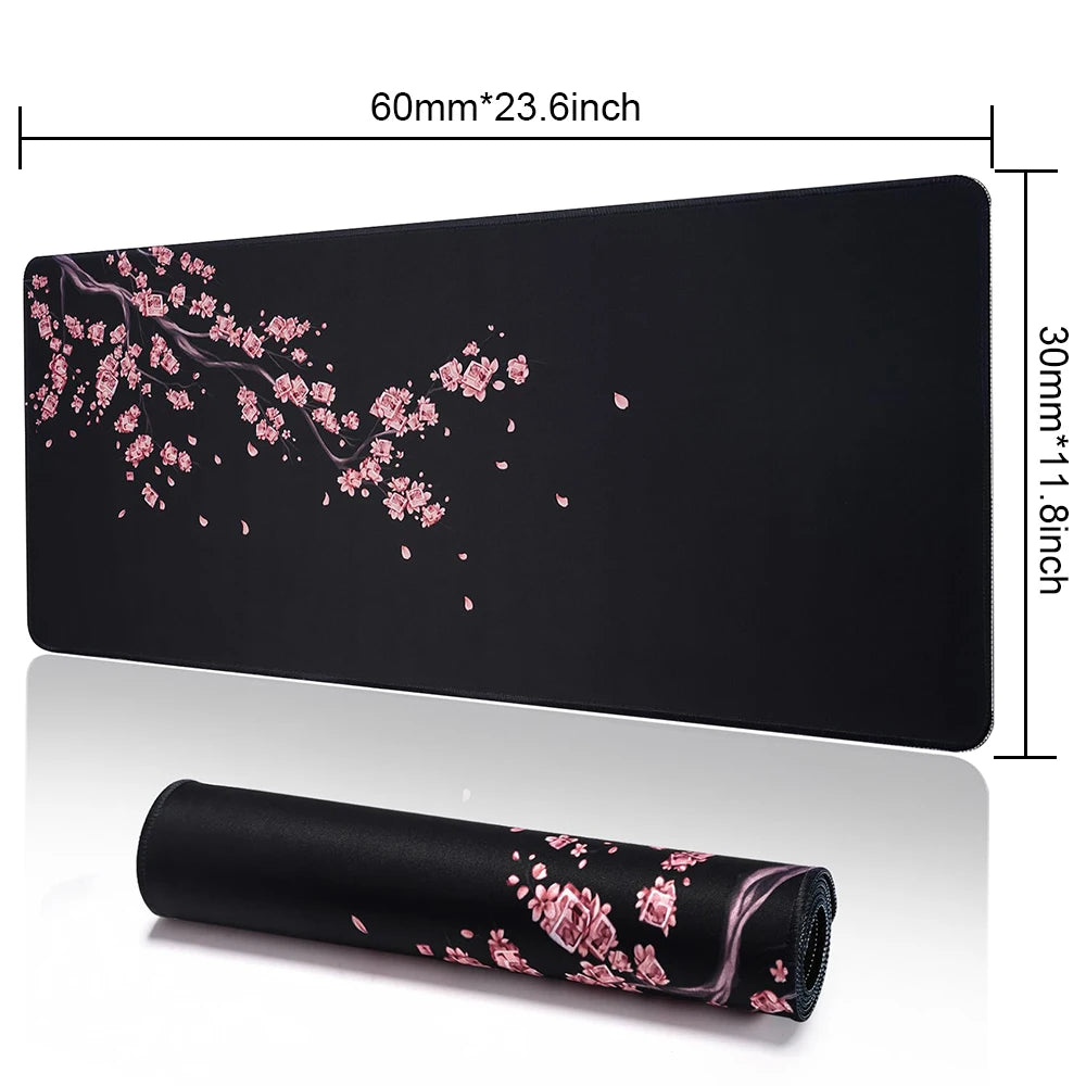 600x300x2mm